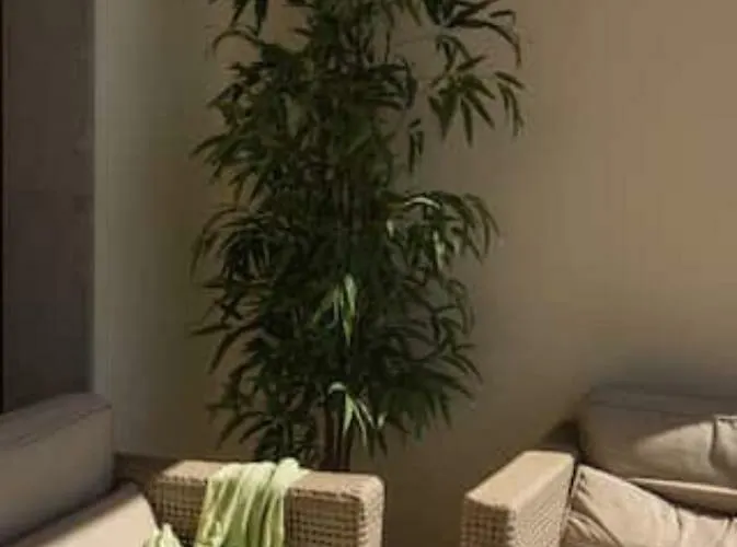 3-bedroom Summer Порту-Санту